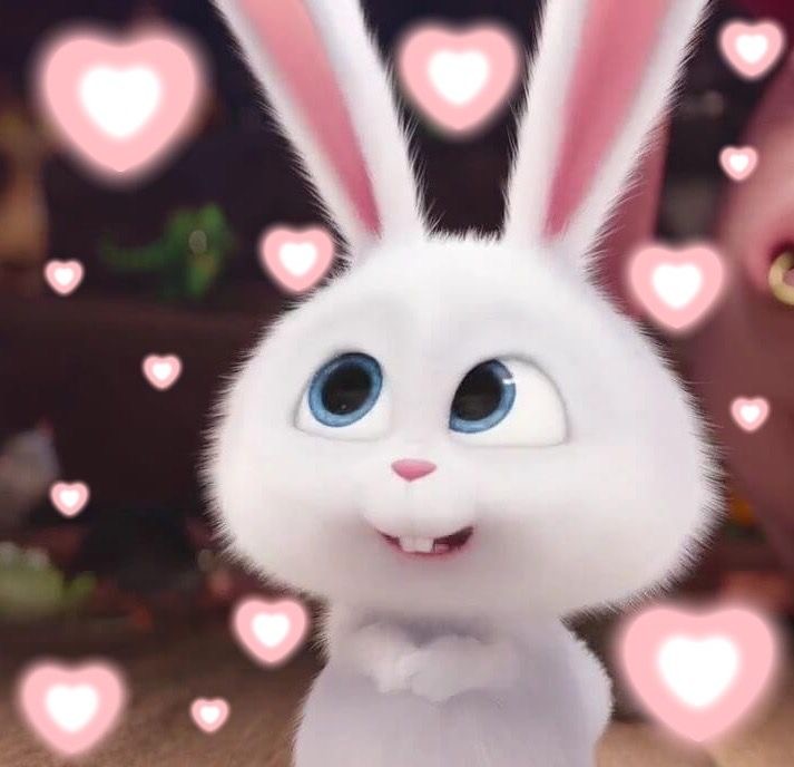 면토끼🐰💙