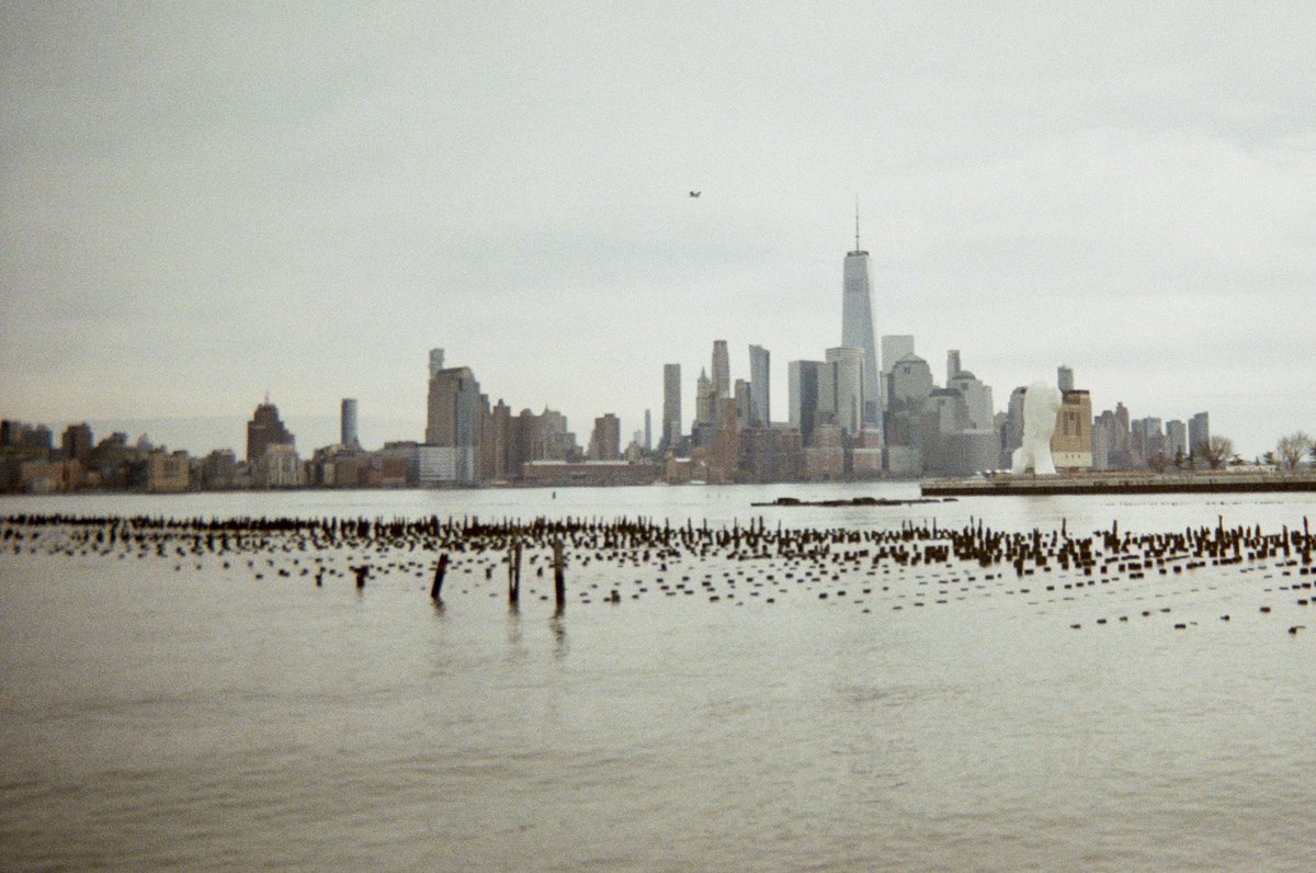 centralparks_'s tweet photo. Got back into buying disposable cameras this year and can’t recommend it enough https://t.co/DVUjhLZiKc