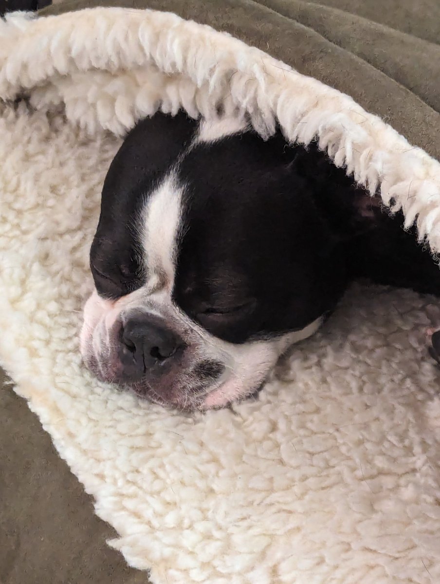 Fergus is doing his best to make it to midnight with <a href="/Andy/">Andy Cohen</a> and <a href="/andersoncooper/">Anderson Cooper</a>.  He promises to wake up on his next shot of tequila. #cnnnye