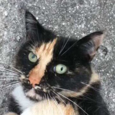 haweryadoin's tweet image. #NewProfilePic