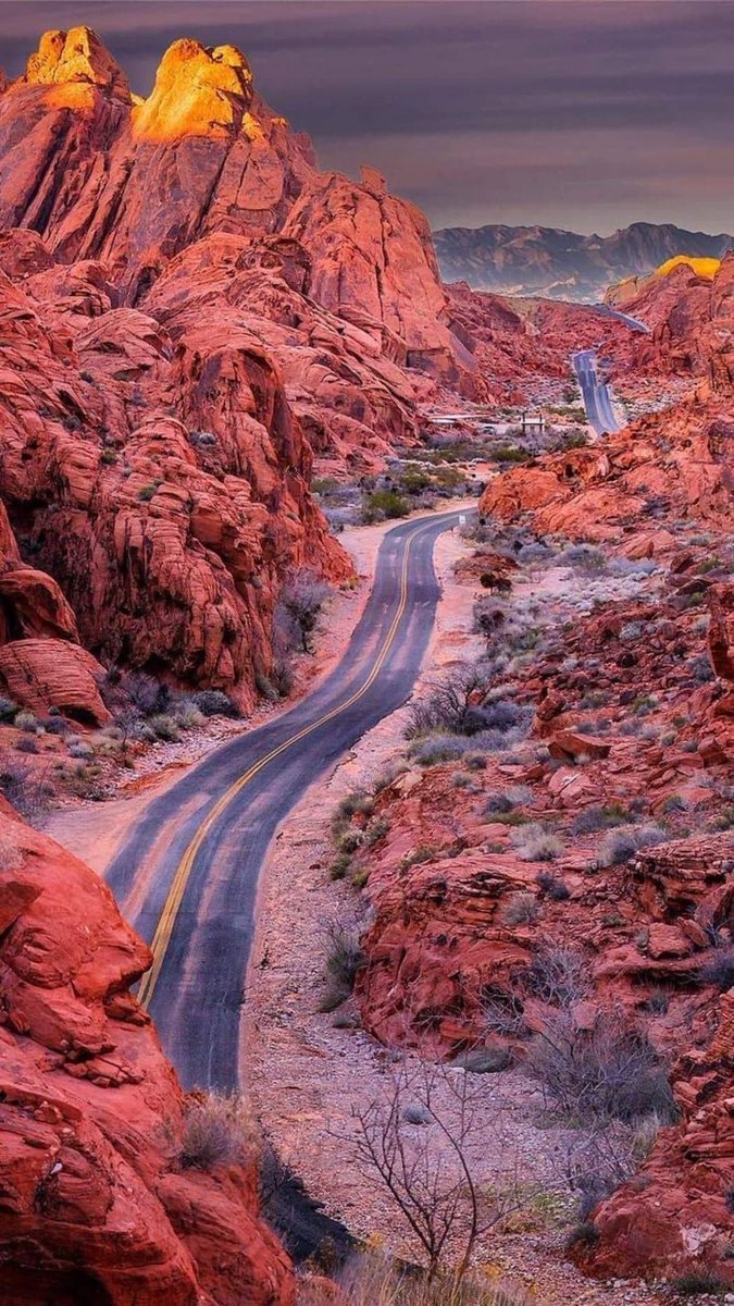 The stunning beauty of Valley of Fire! 🏜️  #ValleyofFire