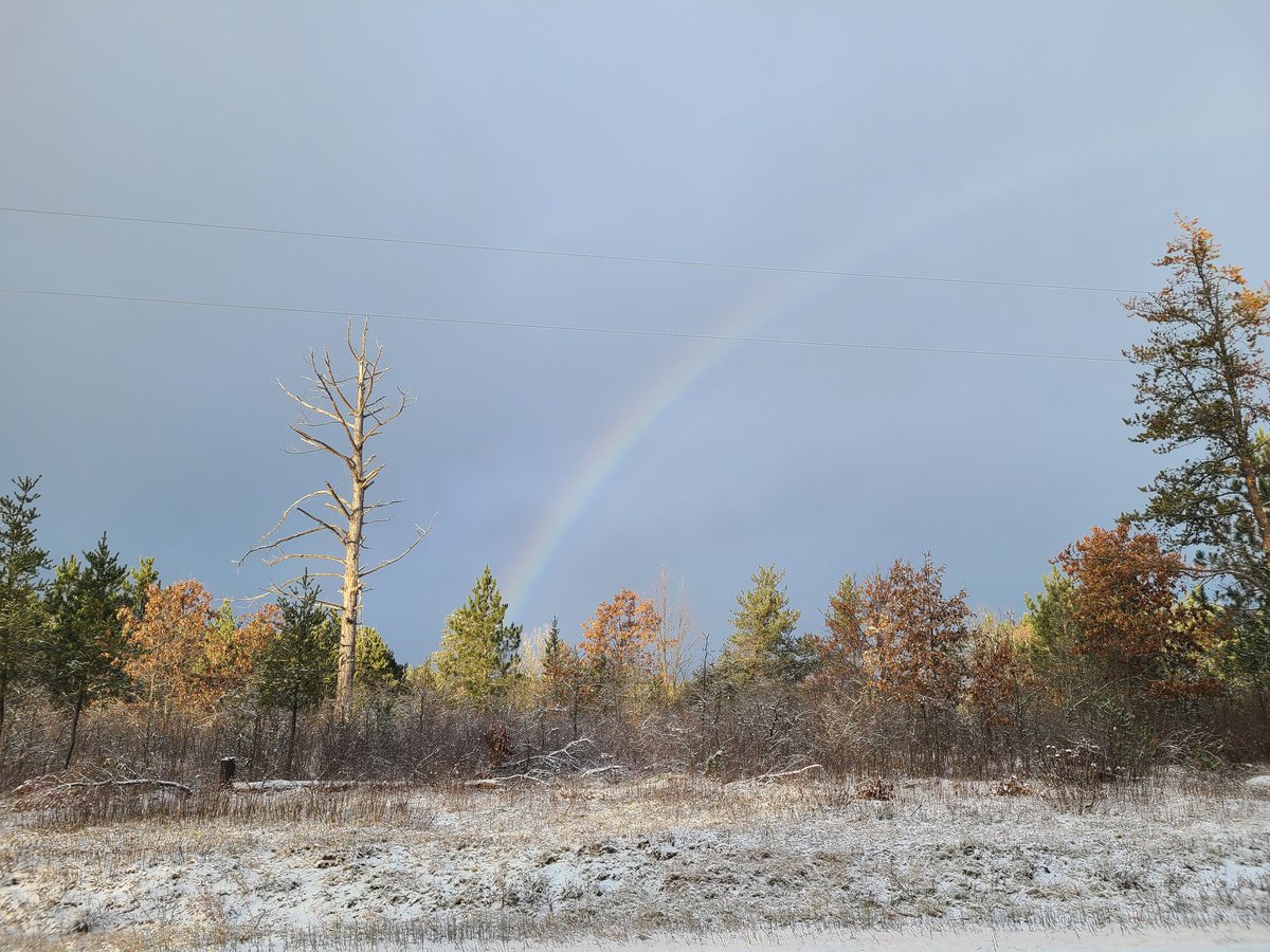 Anna Dutke tweet media