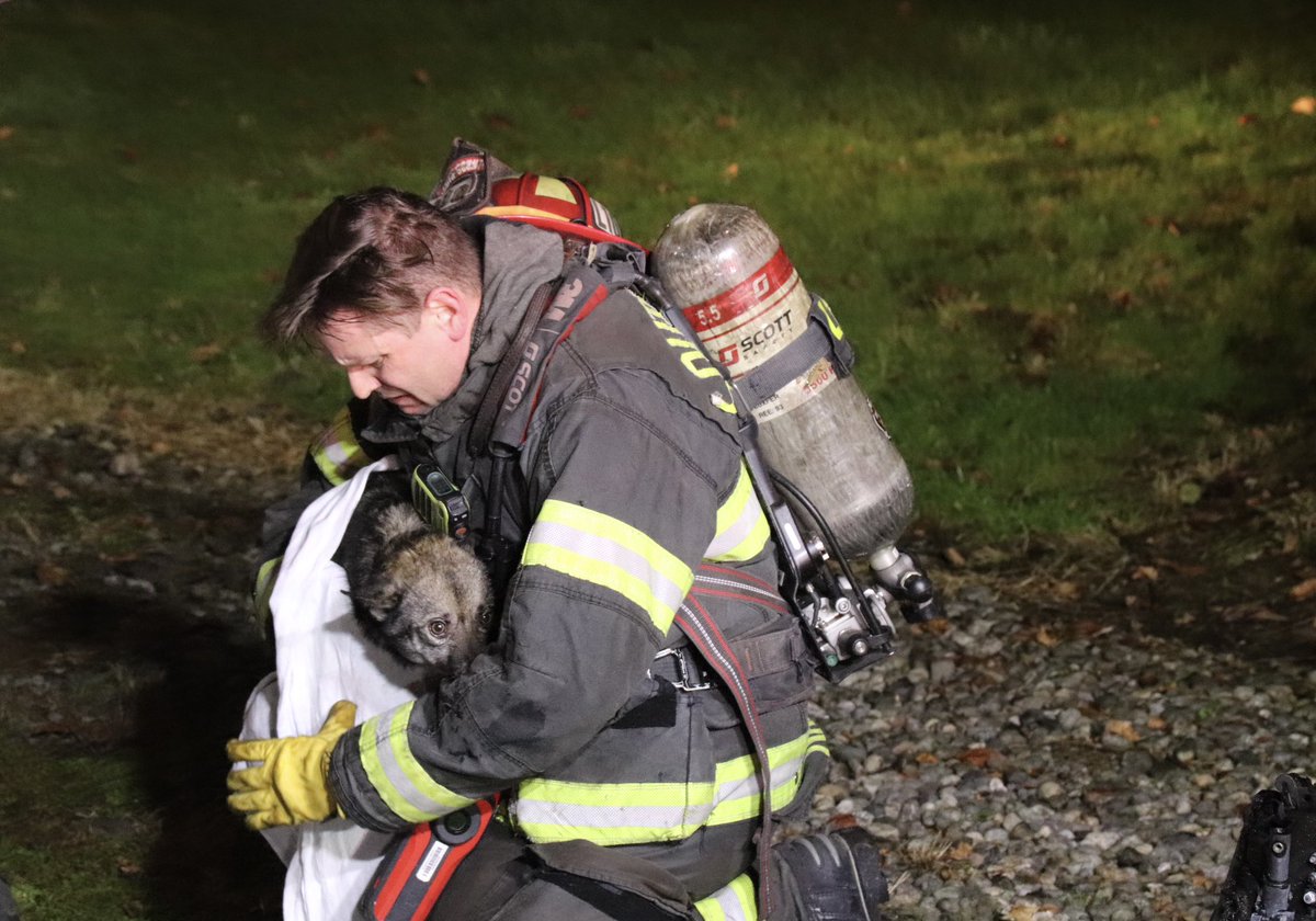SouthSnoFire's tweet image. FFs rescued dogs, cats, rabbits and snakes from a house fire north of Everett’s Eastmont neighborhood today. 
(Photos courtesy MyEverettNews.com)