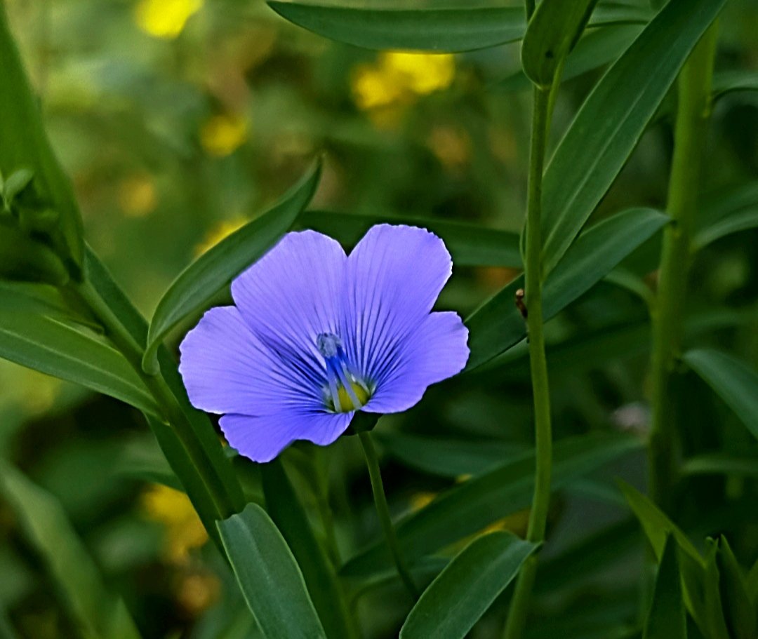 <a href="/PinguSinatra/">Raja Bro</a> I know you are too busy with your work. Sorry to bother you 😎😬🙄
Good morning, bro.🌄🌹
I wish you a very Happy New Year 2024 🌹✨🎉🎁
Tomar samner dingulo khub bhalo bhabe katuk.✨🌹🌹💐✨