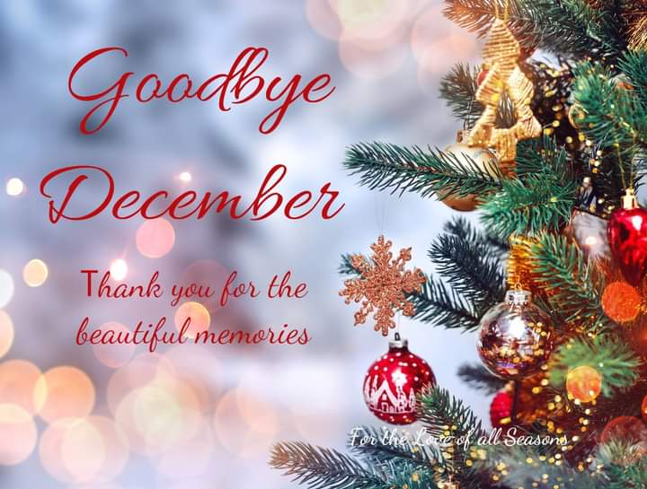 LuvDani_xoxo's tweet photo. #GoodbyeDecember
❄️🎄🎅🎉🥂🩷 https://t.co/AZ8C8rwkAc