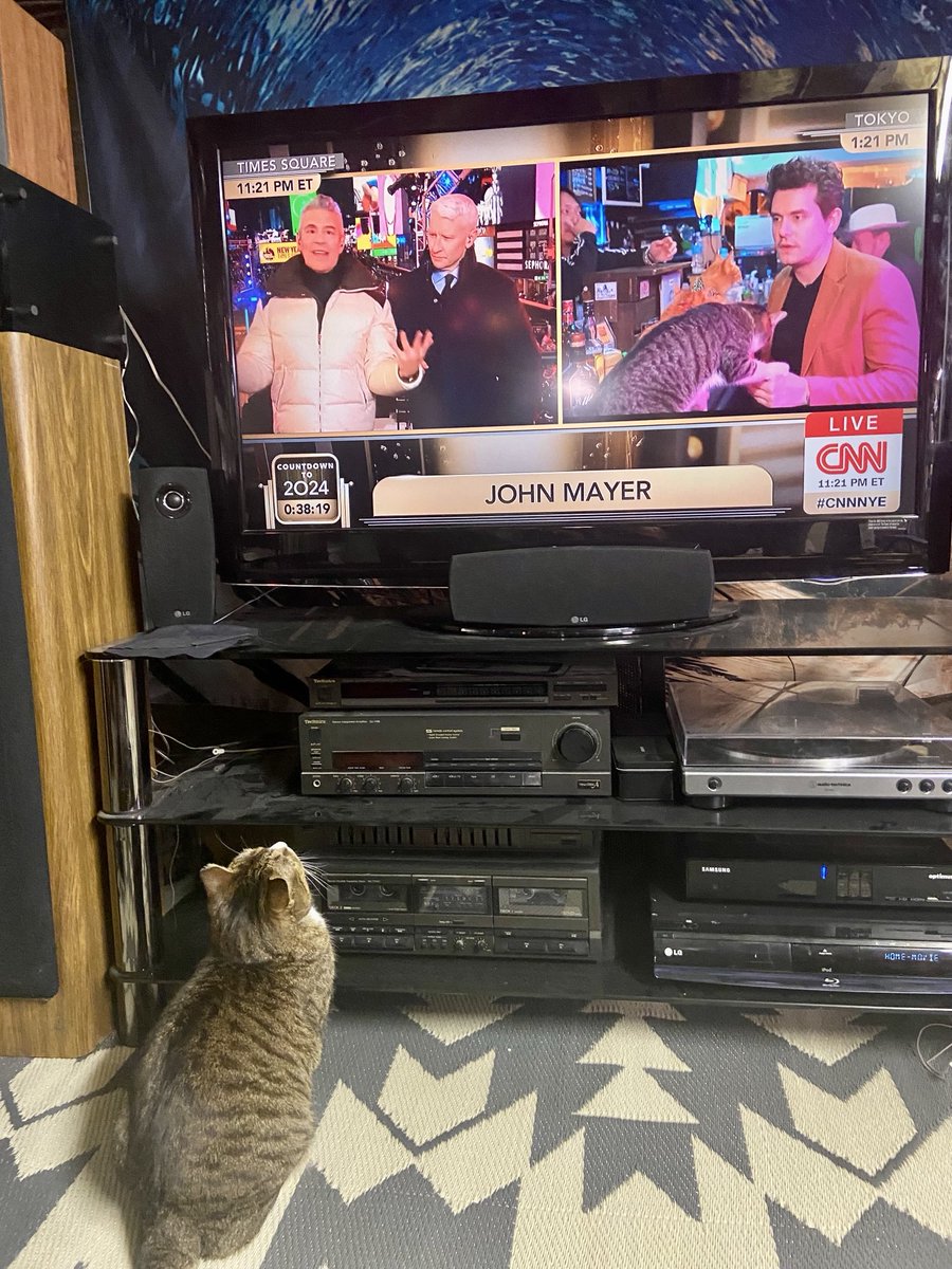 DebraCheatham's tweet photo. Our cat Roxy was obsessed with ⁦the cat cafe ⁦@CNNNYE⁩ https://t.co/JqEfU0Gkan