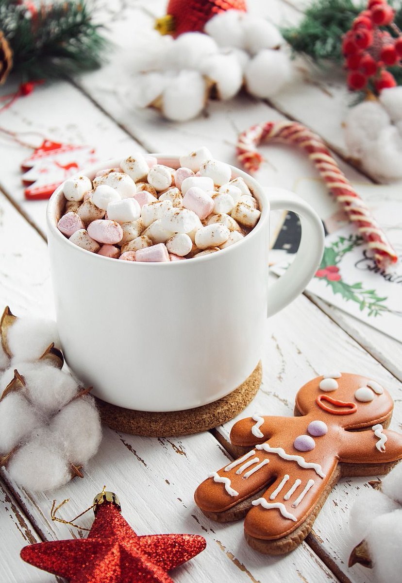 vegetarianTRVLR's tweet photo. Cheers to a Healthy &amp; Happy New Year! And may your Veganuary begin with a warm cup of  good cheer and some really yummy vegan marshmallows --> Watch this video for the recipe! https://t.co/GPwepG2yLH https://t.co/9iI8bgbY1H