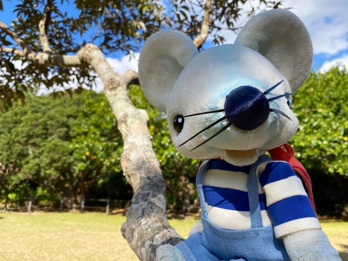 zazie0809's tweet photo. 2024年もよろしくお願いします。
健康第一で今年も頑張りたいと思います。 https://t.co/KuTNpxPNY6