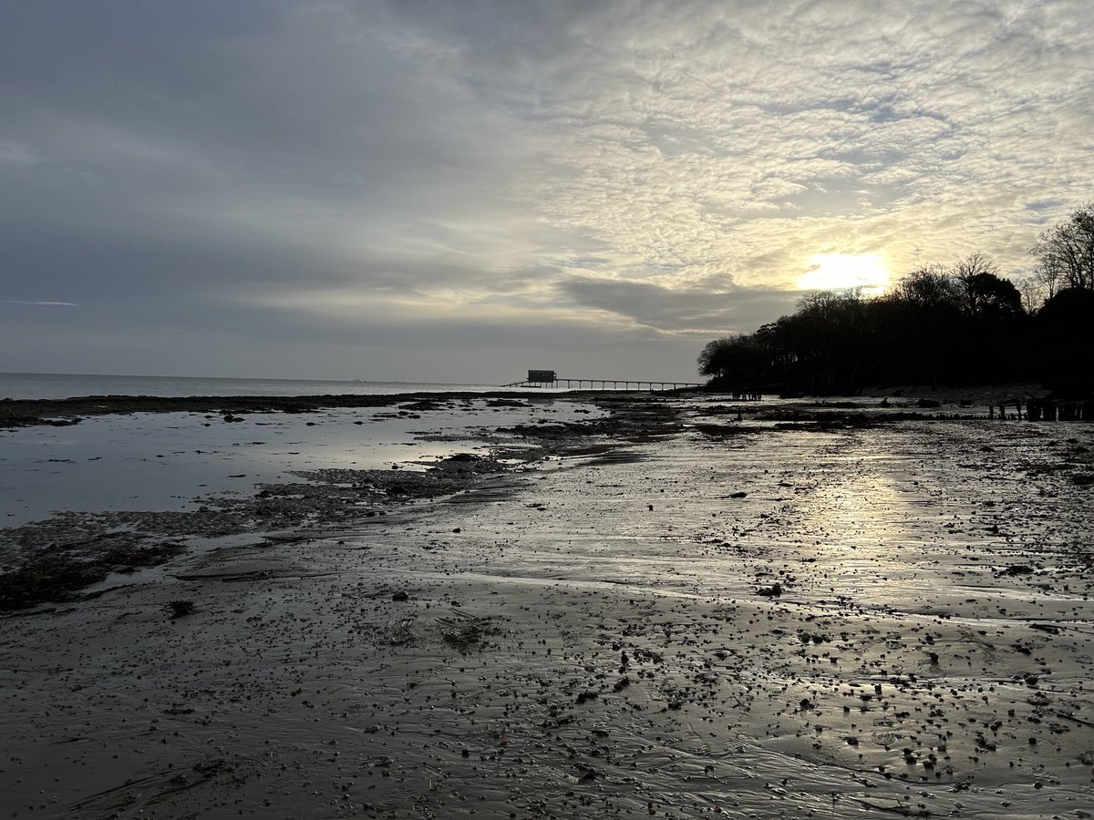 Pauline Stirling #FBPE 🇪🇺 tweet media