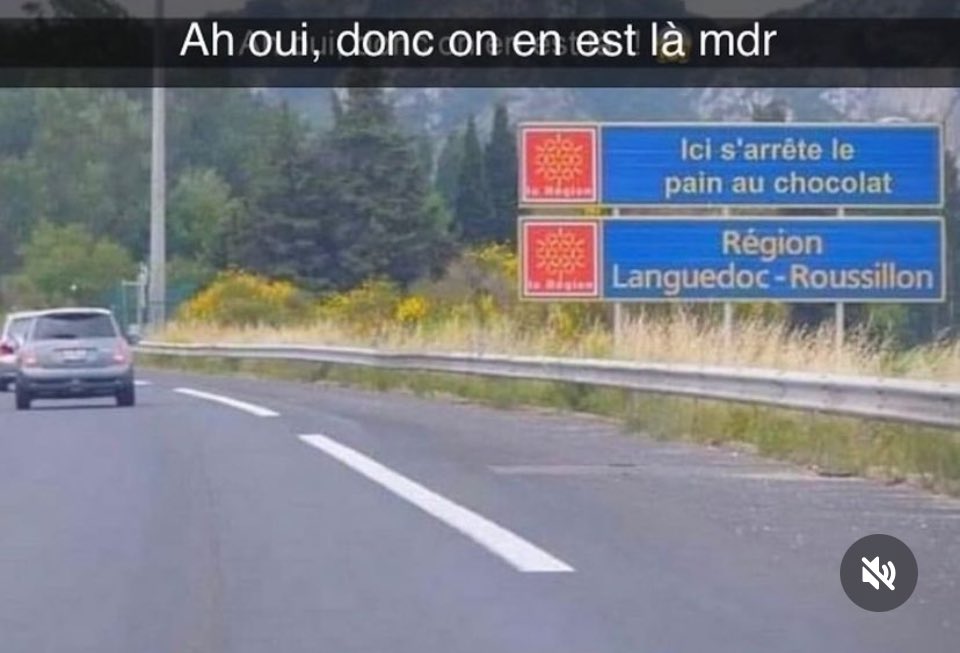 SouriceauParis's tweet image. 🛑 Aujourd'hui une spéciale dédicace aux adorateurs de la #Chocolatine que sont @Fabrice_TeamEM et @JegeDavid47 😂😎🤪😋