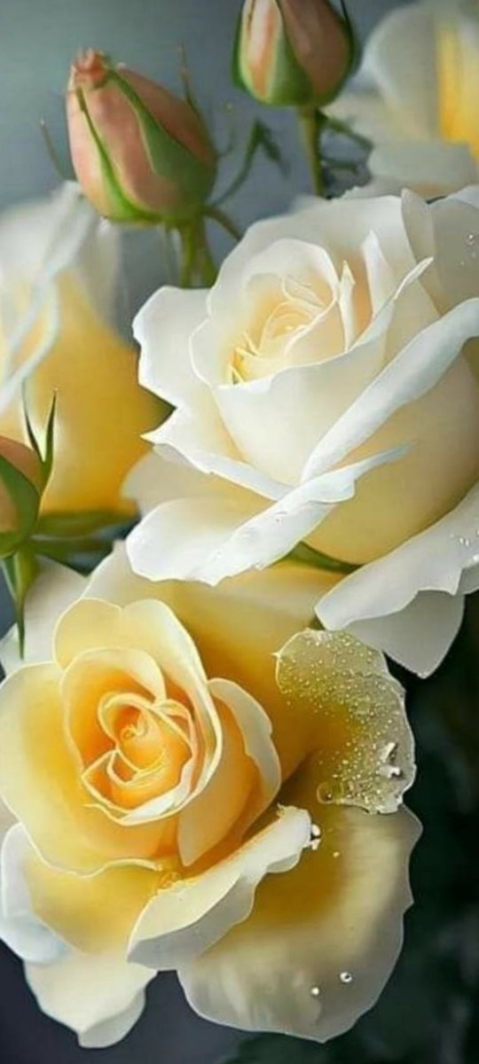 Marco Valetti (@marcovaletti2) on Twitter photo 