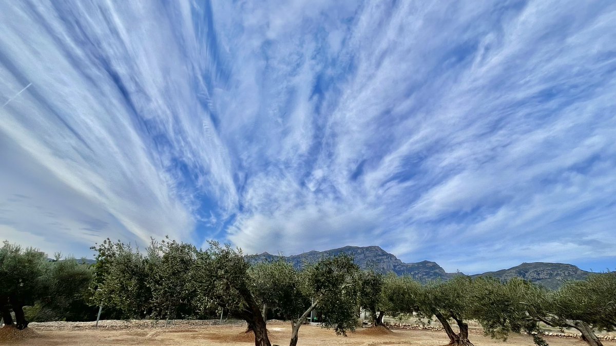 GemmaMonllau's tweet photo. Amb aquesta estampa dels Ports envoltats de nuvols, a Roquetes, comença el primer dia del 2024… Feliç Any!✨
@eltempsTV3 @ElTemps_cat @eltemps_rtve @meteocat @Cat_Meteo @meteorac1 @ElTiempoA3 https://t.co/c8hPjFlsfm