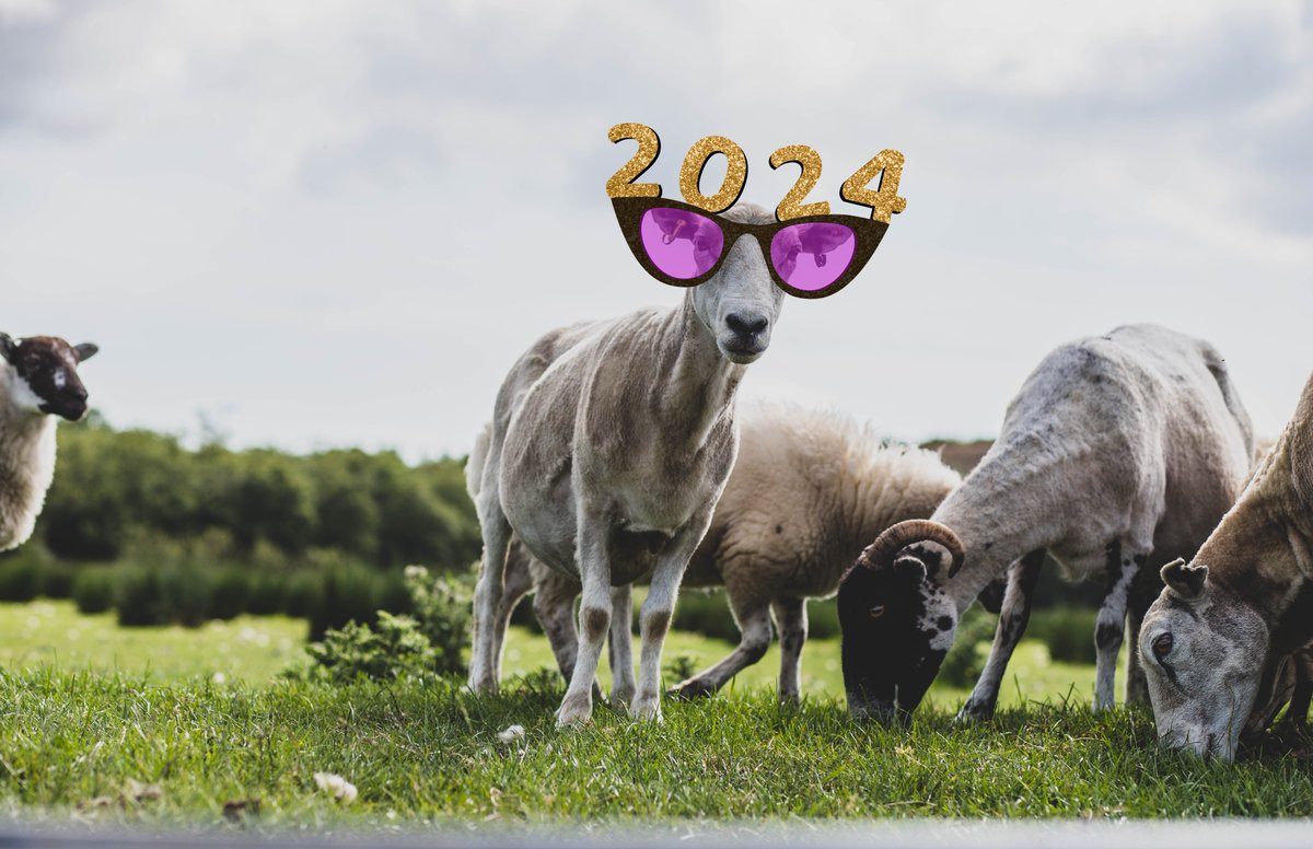 BAAwards's tweet photo. 🐑 Happy New Year from Team BAA! 🥳

We’re busy preparing as it’s just 66 days until #BAA24! Make sure to save the date - Thursday 7th March. https://t.co/8lcgx6ILqI