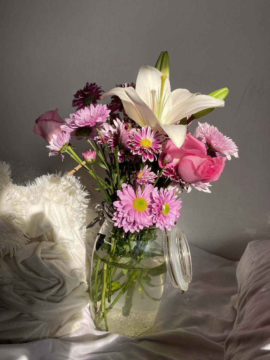 heavenbrat's tweet photo. just because flowers>> https://t.co/vc5V5ZfTXc