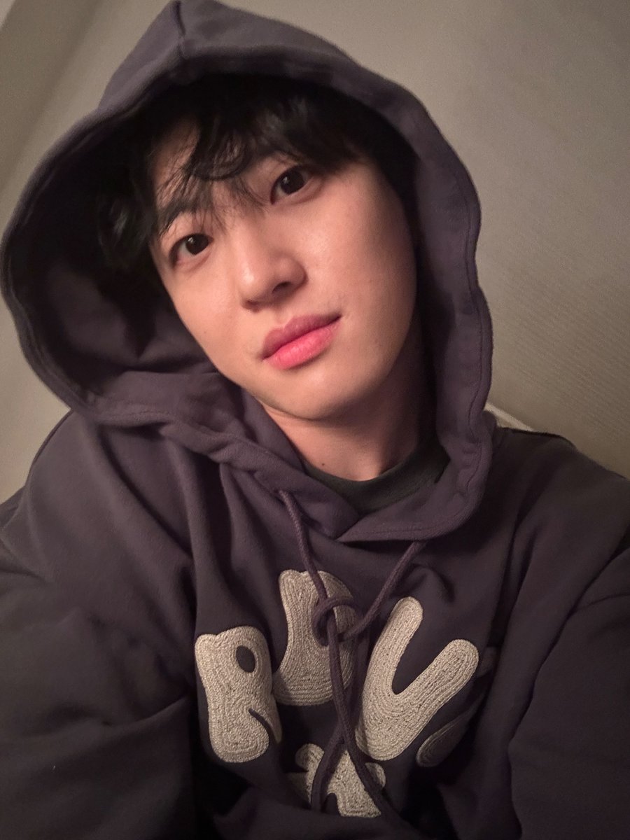 Feeldog / 필독 tweet media
