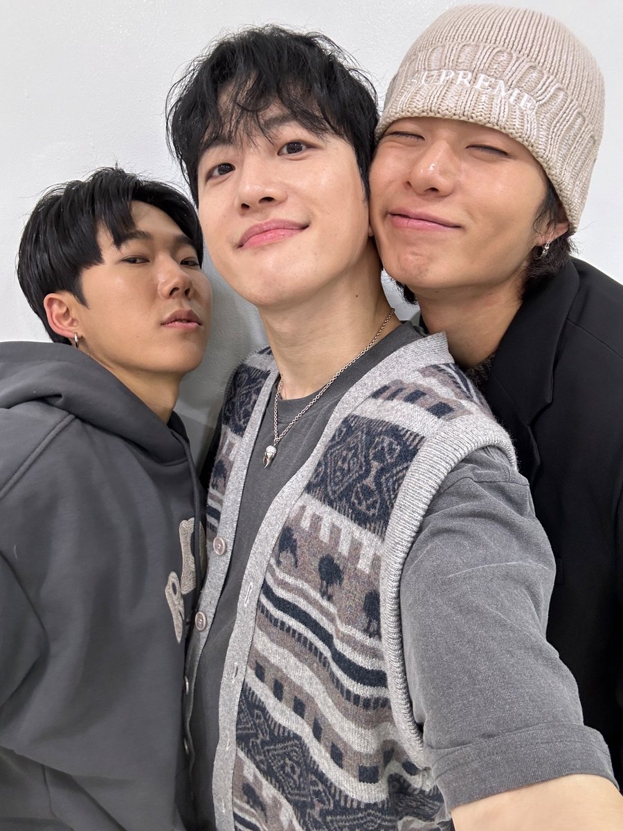 Feeldog / 필독 tweet media