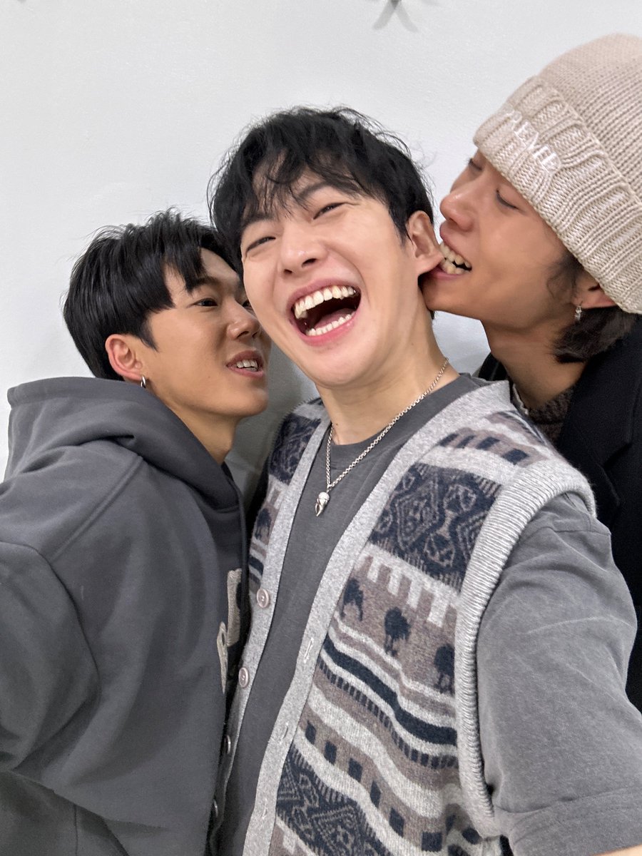 Feeldog / 필독 tweet media
