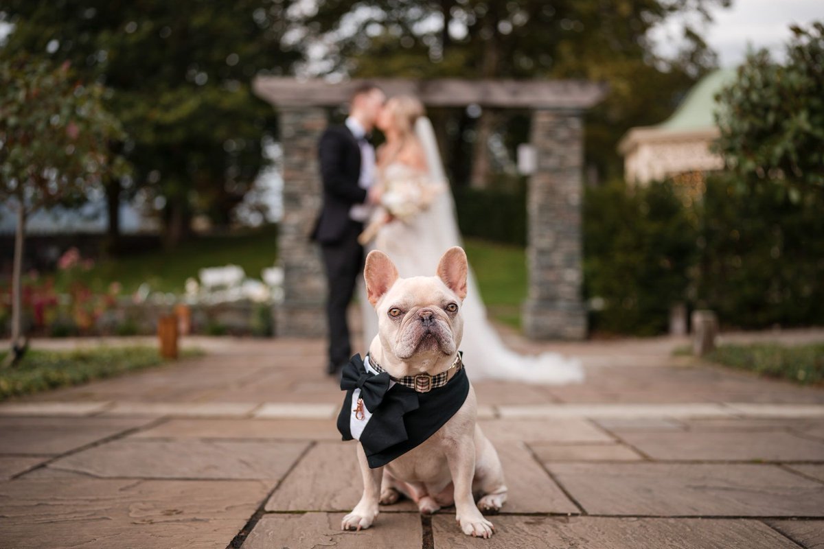 Caption this! 📸😍
Keeping guard over his 'Pawrents', Rachel and Kaelum’s during their wedding at the Lodore Falls Hotel. ❤️