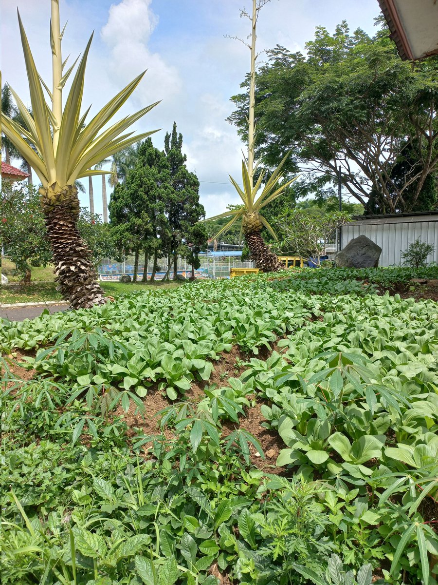 Terima Kasih 2023, Selamat Datang 2024. 

Puji syukur, kita sudah melewati tahun 2023.
Semoga di tahun 2024, kita semua bisa menjadi lebih baik.

Selamat tahun baru ya teman2 dan selamat menikmati kemeriahan malam tahun baru.

kompas.id/baca/post_live…