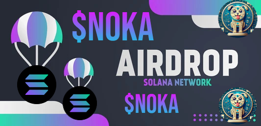 NOKA! tweet media