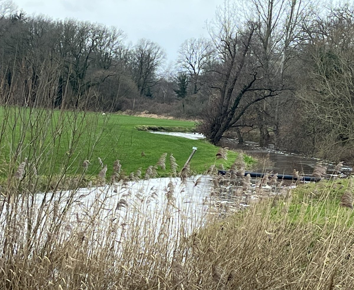 cia kroon tweet media