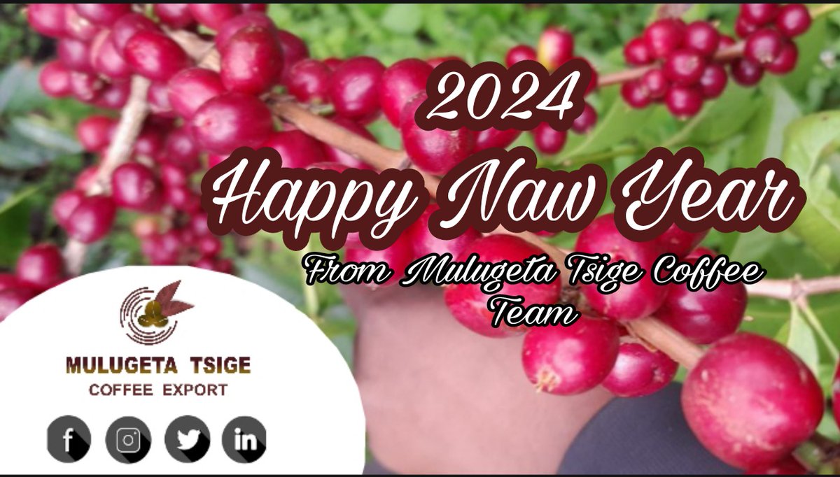 Happy New Year 
2024
May the new year be a year of love, happiness, success, change, listening and unity!! From @mulugetatsigecoffee team 

#happynewyear2024 #Mulugetatsigecoffee #Mulugetatsigerichacoffeeam