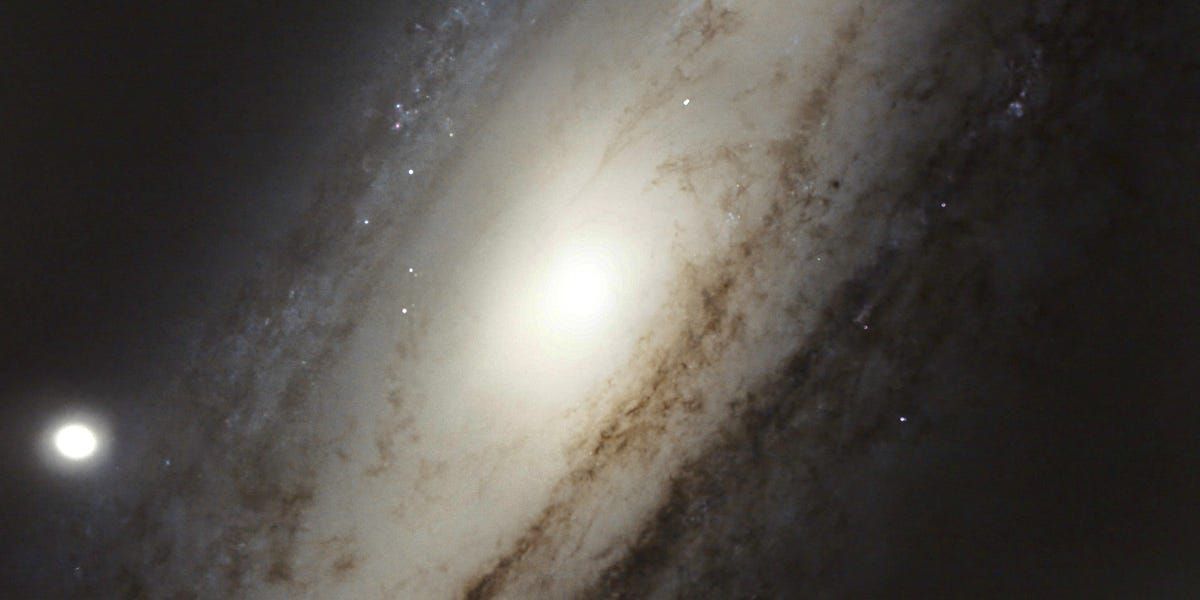 eat sleep wild tweet media