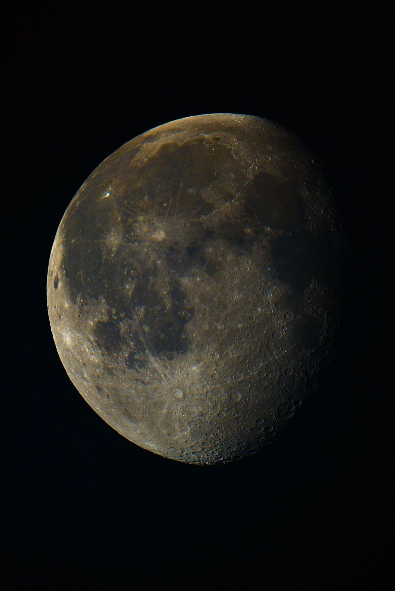 eat sleep wild tweet media