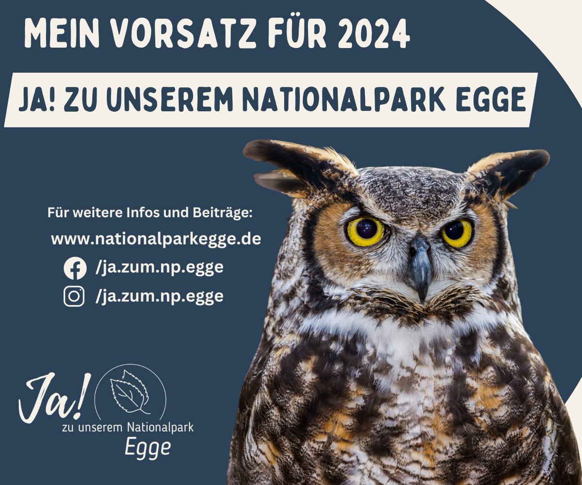 Norika Creuzmann tweet media