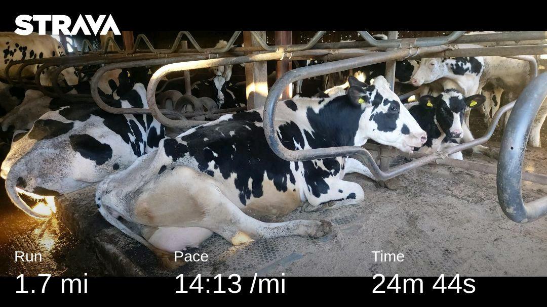 Emma Robinson tweet media