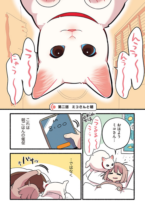 寒〜い🥶❄️冬の朝の猫の話🐈
(1/2)
 #漫画が読めるハッシュタグ
 #愛されたがりの白猫ミコさん 
