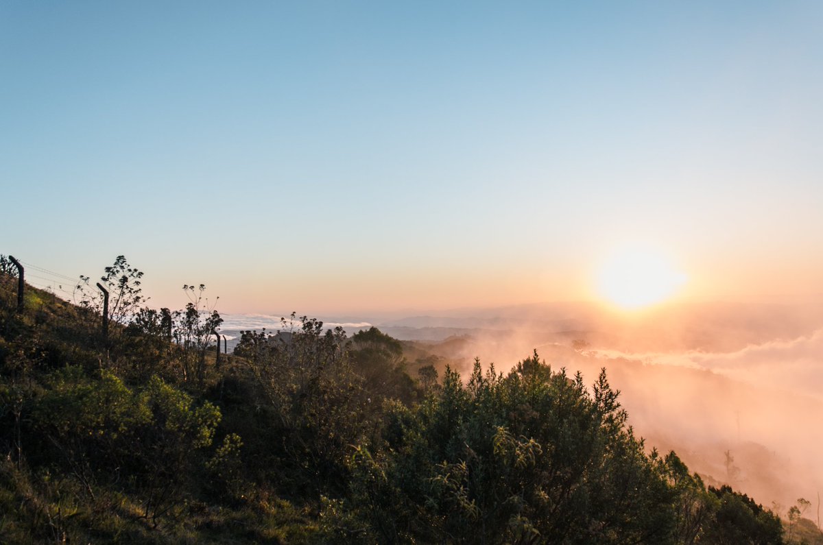 GM gm folks!
May today be the first day of a year full of joy and things that make our hearts vibrate! 🧡✨️🙌🏻

Happy New Year world! 🥂