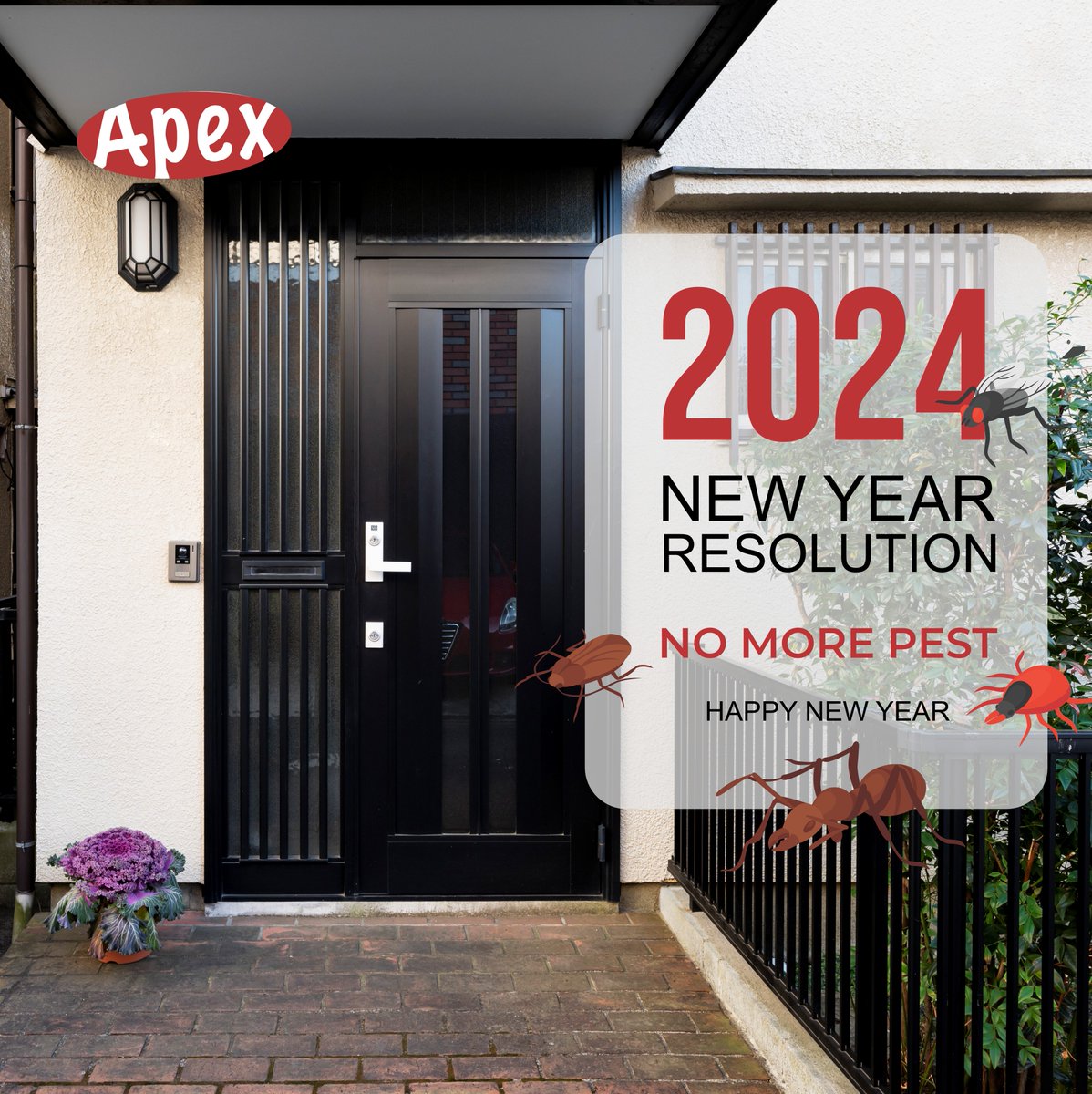 ApexTradeSolu's tweet image. &quot;Cheers to a New Year and a pest-free home! 🎉🏡 Let&apos;s make 2024 the year of living without worries. Happy New Year from Apex Trade Solutions! #NewYearNewHome #PestControl #ApexTradeSolutions