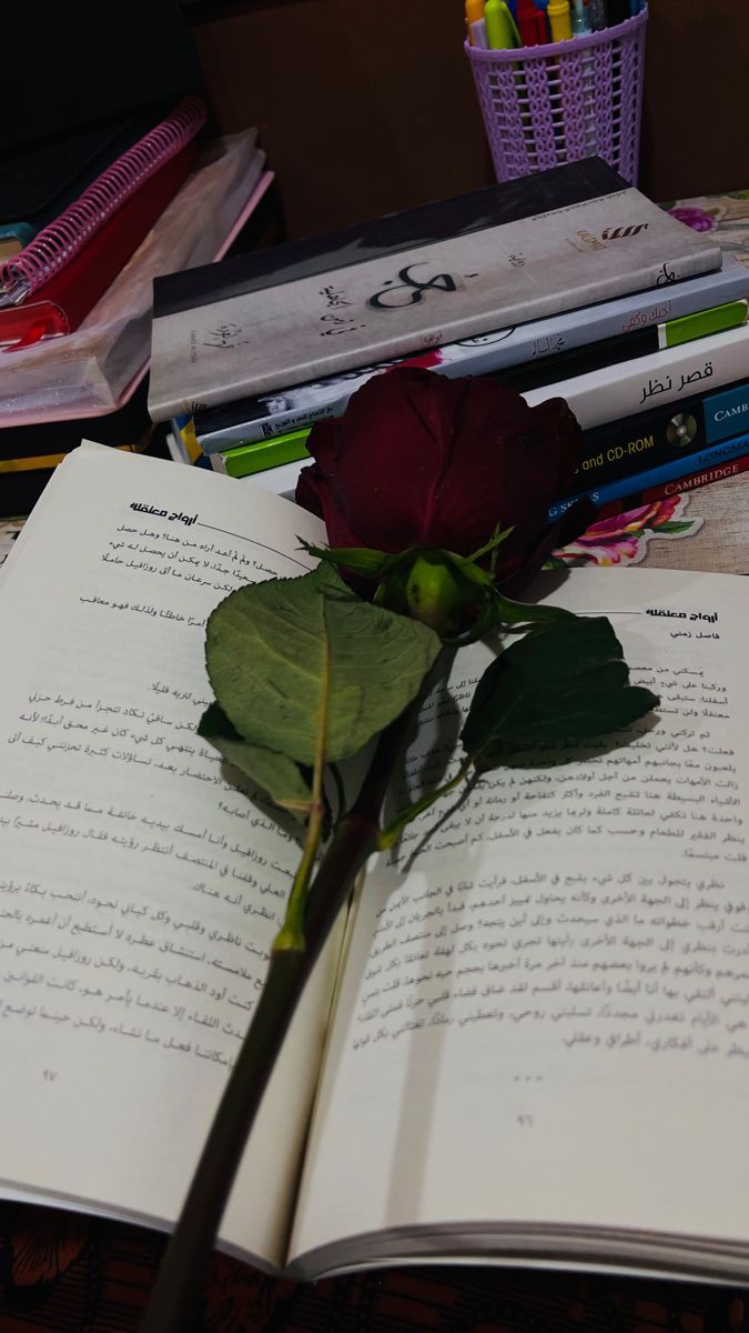 رحل عام كُنت فيه محاربة عظيمة...

#چا