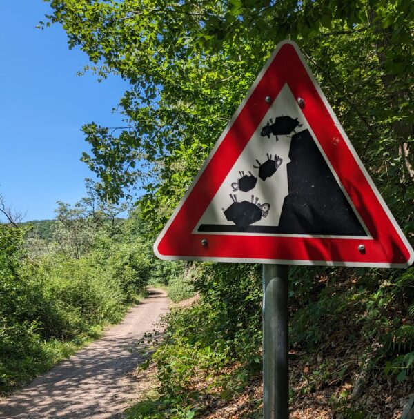 "Ein Jahr wie ein SchleFaZ". Eine spezielle Hommage als #Jahresrueckblick2023  jetzt auf <a href="/culturmag/">culturmag</a> ...
culturmag.de/highlights/son…
<a href="/twitkalk/">Oliver Kalkofe 📯</a> <a href="/NITRO/">NITRO</a> <a href="/schlefaz/">SchleFaZ🤯</a>