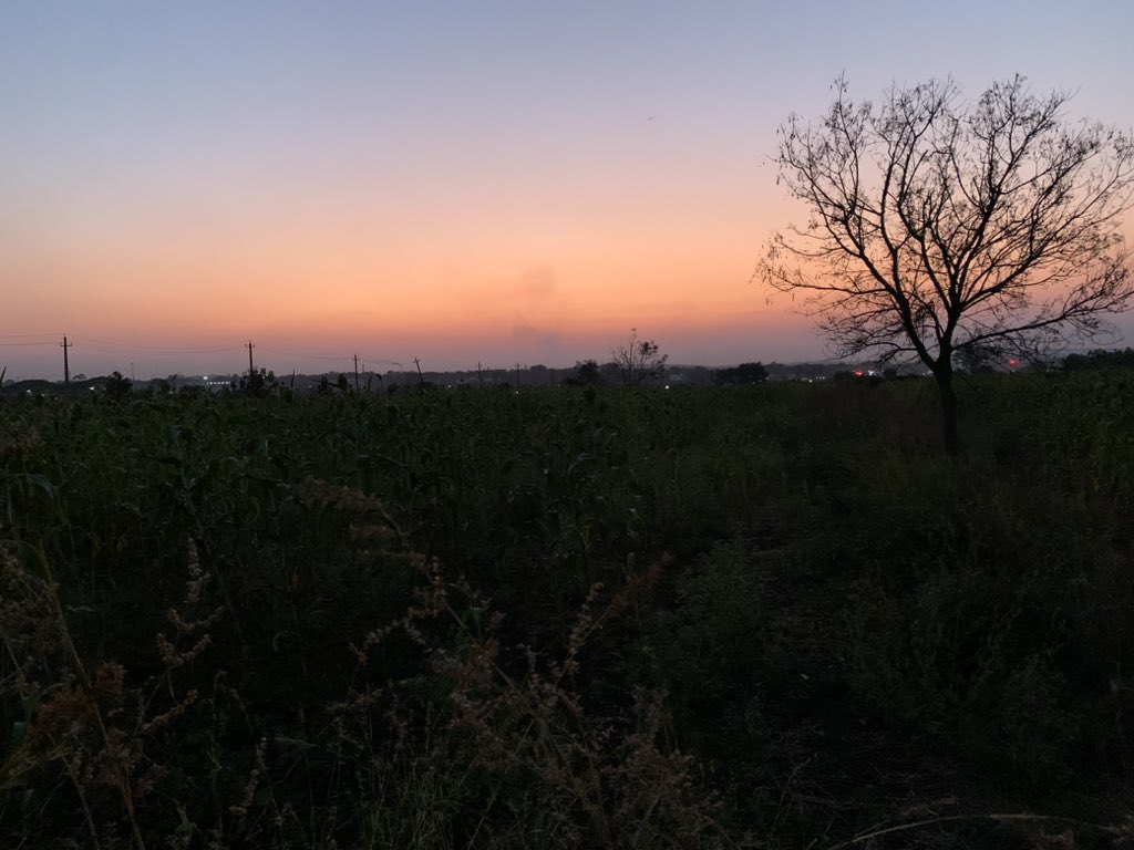AltmashSheikh02's tweet photo. Returned from IITKGP today and found out that taking a mondo duke in your own (hostel’s) toilet and sleeping in your own (hostel room’s) bed is one of the biggest luxuries a college student can have. Also, the weather and skies in Dharwad are two things I will never get over. https://t.co/cqicAe3zj9