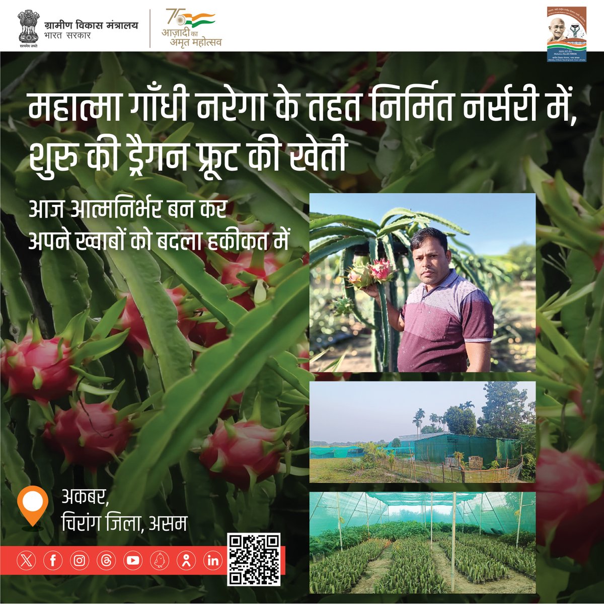 MoRD_GoI's tweet photo. #MGNREGA के तहत बनी नर्सरी ने न सिर्फ बदली #Assam के पश्चिम देउलगुरी गाँव के अकबर की आर्थिक स्थिति बल्कि गाँव के अन्य लोगो को भी दिया रोजगार। रोपण तकनीक इत्यादि में प्रशिक्षण प्राप्त कर युवाओं को सिखा रहे है खेती के गुर।

#ViksitBharatSankalpYatra #HamaraSankalpViksitBharat
#MoRD https://t.co/6cMsQotO2i