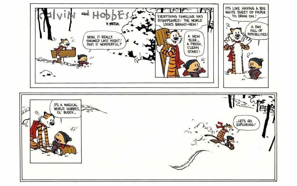 28 years ago today on December 31, 1995, legendary cartoonist Bill Watterson published his final 'Calvin and Hobbes' comic strip. How beautiful and appropriate it was. A timeless reminder of what we can make the next year. May we bring about justice for all humanity in 2024.❤️