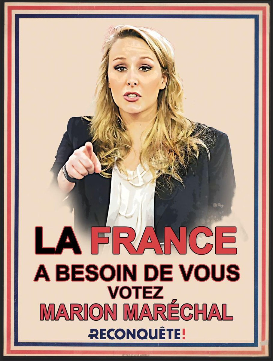 RigalMichele's tweet photo. @steph_sejourne Le choix est clair le 9/06 un seul tour #AvecMarion #SansMacron https://t.co/PULjWaDbGy
