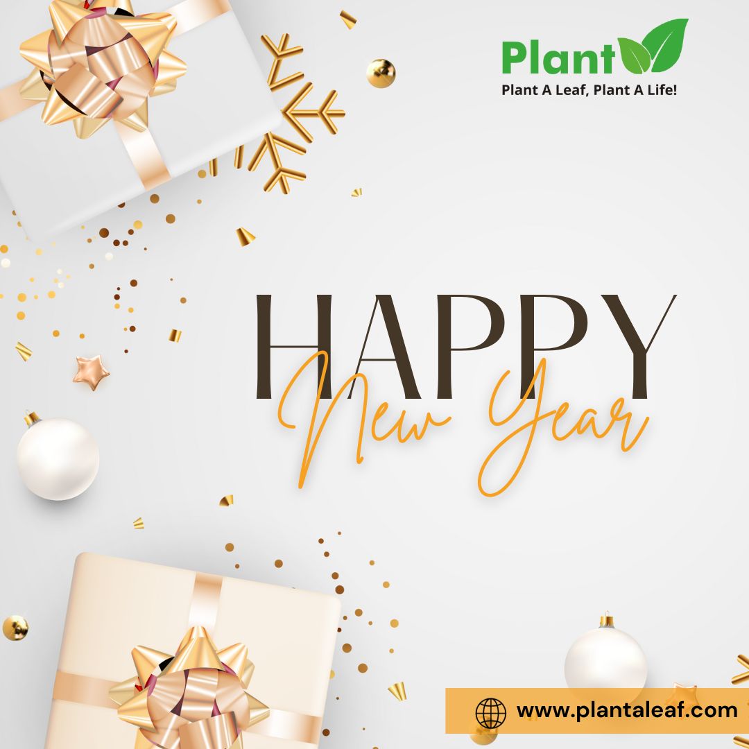 PlantALeaf's tweet photo. ♥️  𝓗𝓪𝓹𝓹𝔂 𝓝𝓮𝔀 𝓨𝓮𝓪𝓻𝓼 2024 
Welcome 2024 🎉
Wishing you all a new year filled with joy, success, health, laughter and wonderful moments! 
#happynewyears2024 #plantaleaf https://t.co/0SlSDqGFk8