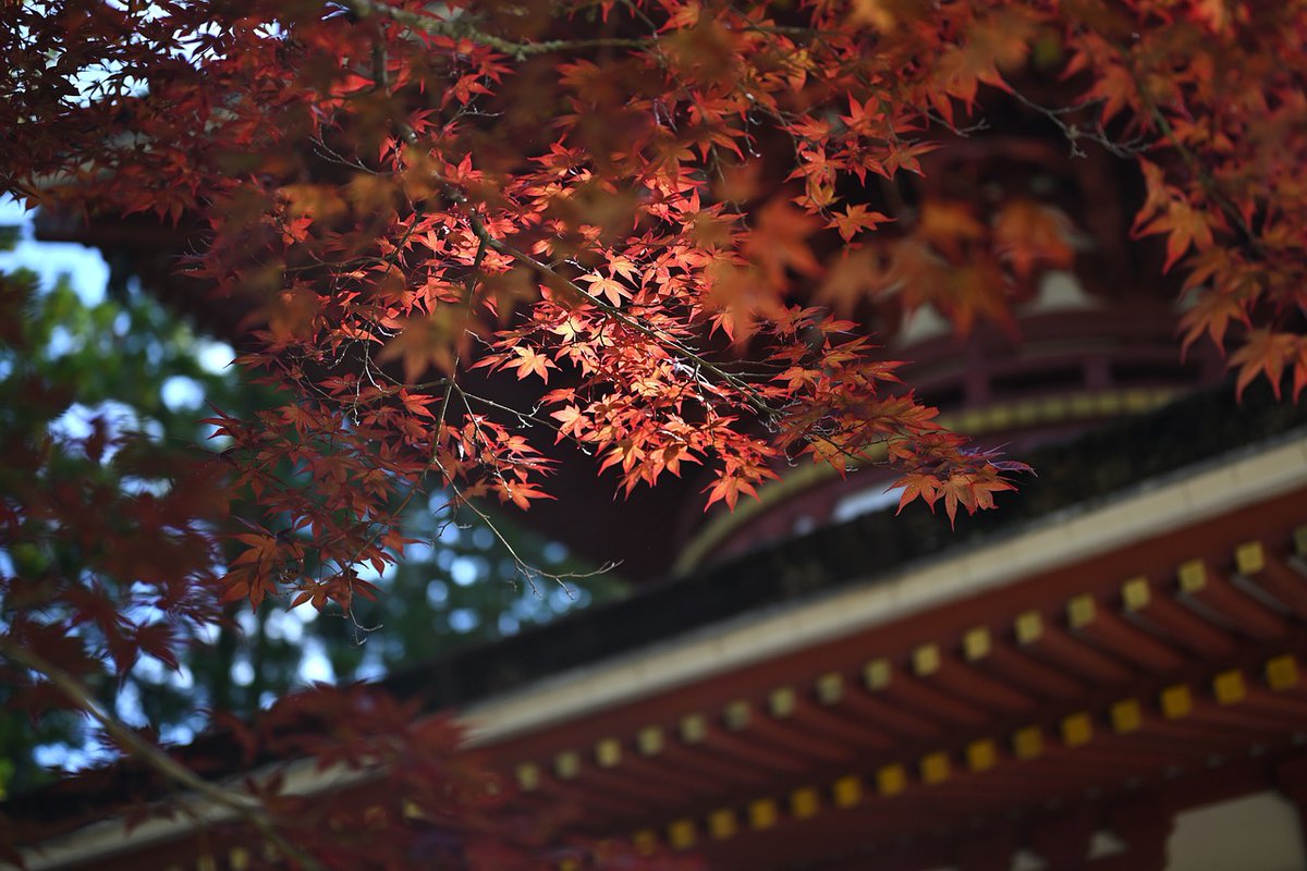 -Agatsuma Yoshiteru- tweet media