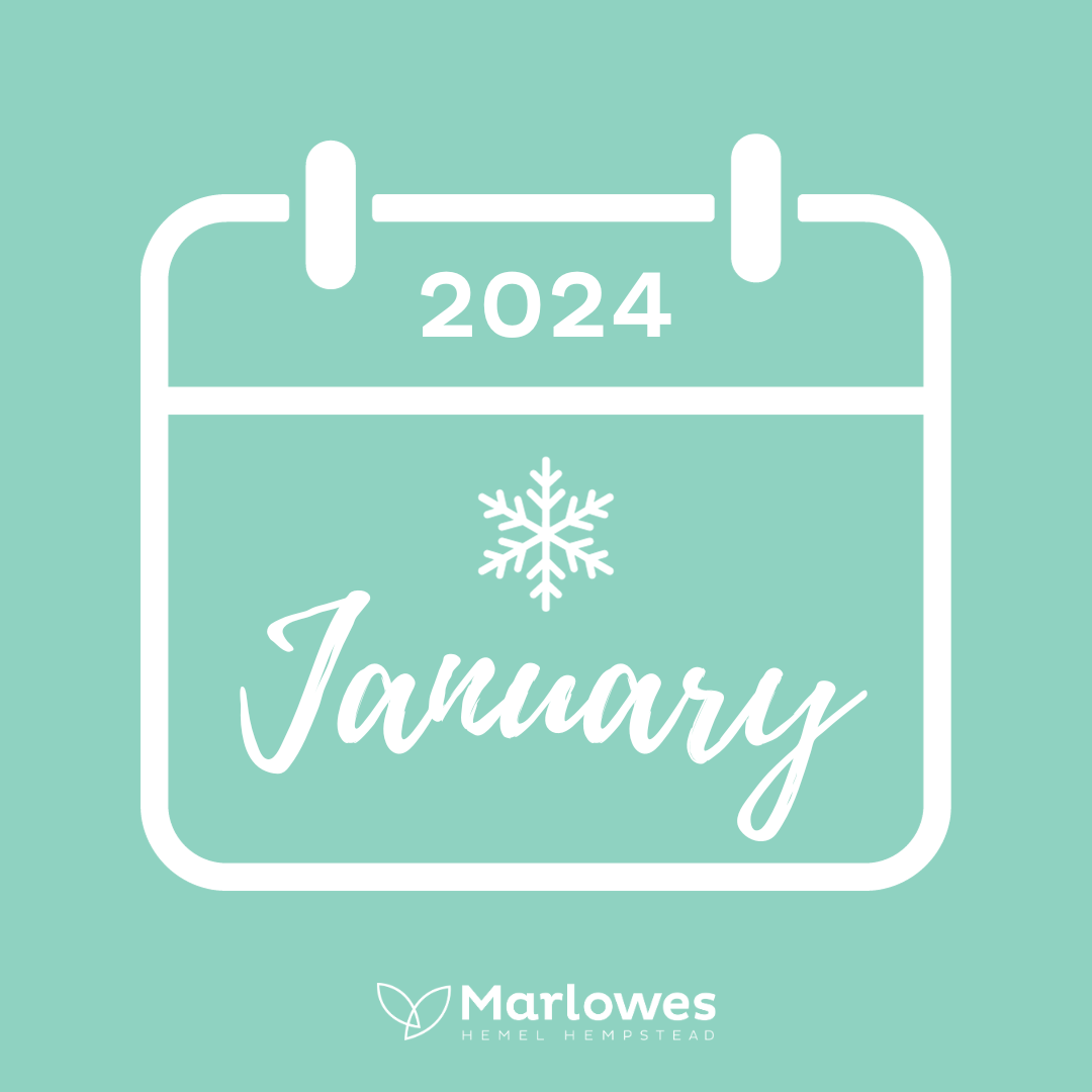 TheMarlowes's tweet photo. Hello January and hello 2024! ✨ https://t.co/xUoa77YqiG