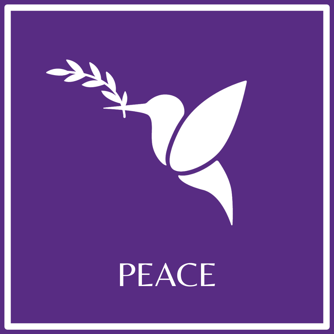 PBonoNetwork's tweet photo. From all of us at Pro Bono Network, we wish you peace in 2024. https://t.co/F07euBboyr