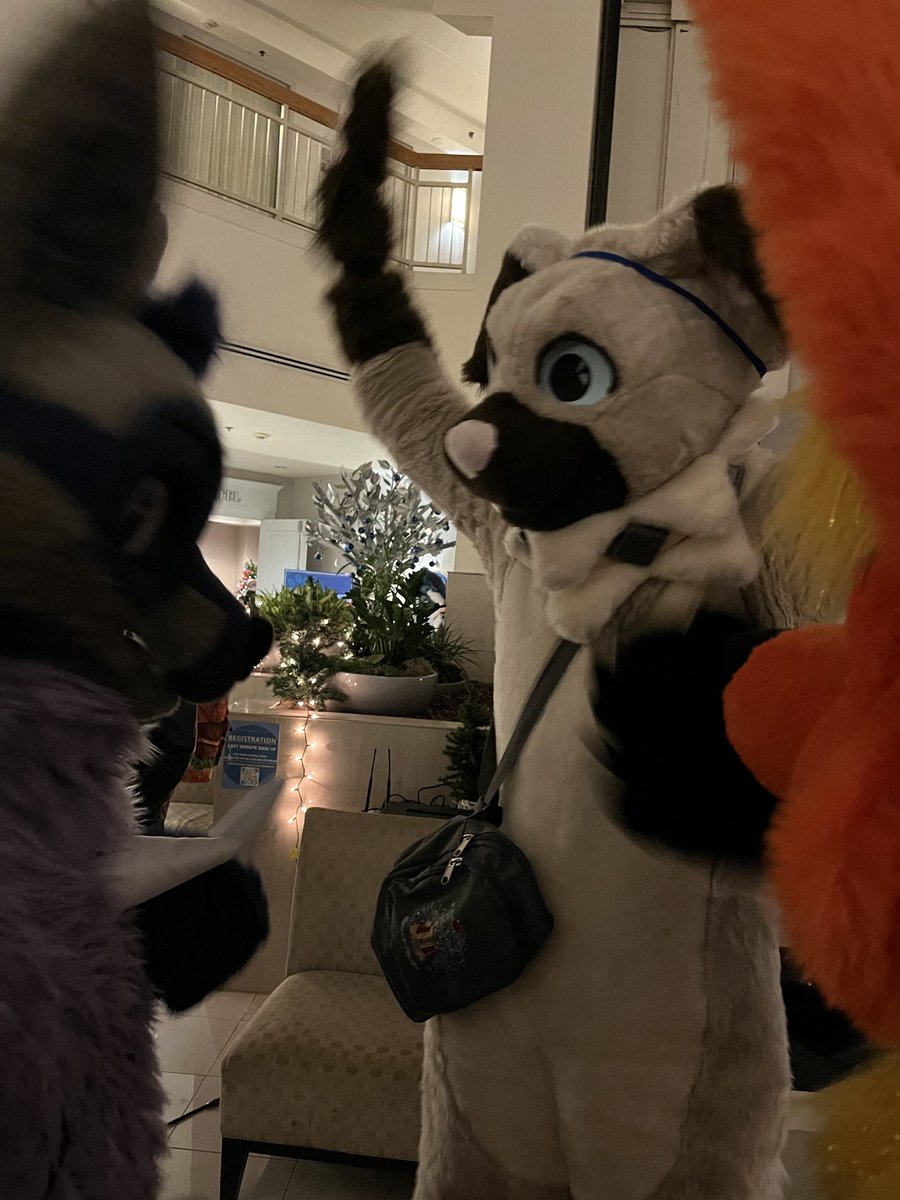 RockruffChake's tweet photo. I spake the truth but the naysayers @Fyre_Flareon and @Dexxoza attempt to silence me! I will preach Rockruff superiority from atop my podium (not a chair)

#NYFB2024 https://t.co/razIkPLoQL