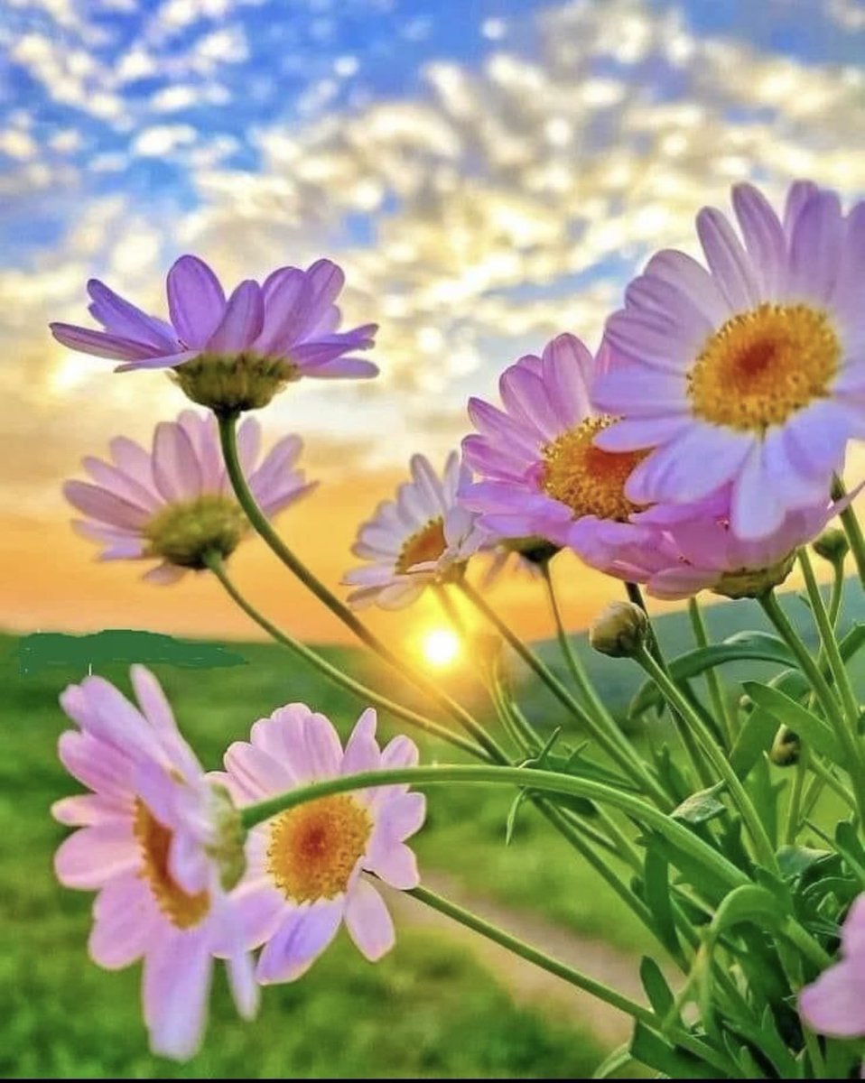 Waxa dhamaaday sannad dagaalo, fatahaado iyo culayso dhaqaale ina soo mareen. Sanadkan 2024 ee saaka curtay waa sannadkii doorashooyinka, 4 bilyan oo qof oo ayaa addunka u dareeri doona doorasho. Isbeddelo wanaag horseeda ayaynu u rajaynaynaa, innagana sidoo kale nabad &amp; barwaaqo