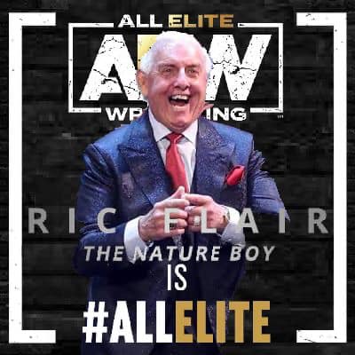 JohnnyOAmazing's tweet photo. @WrestlingCovers one I made Woooooooooooooooo https://t.co/PFhJmBxIit