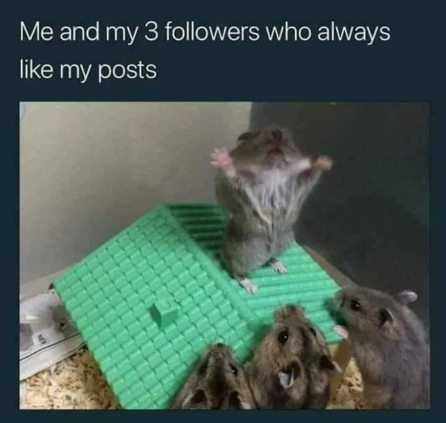 TL;DR Memes tweet media