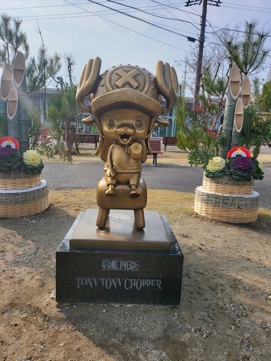 progreen17's tweet photo. #chopper https://t.co/g5jlMBfoYh