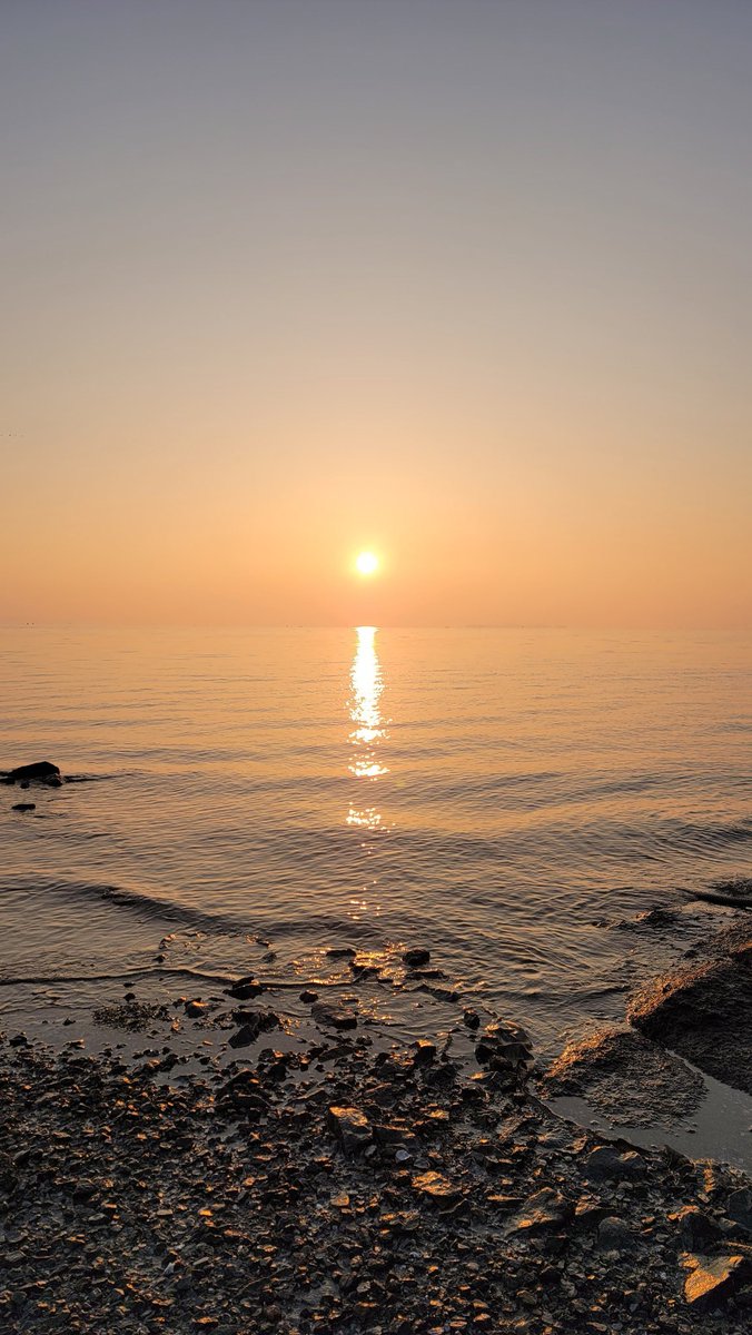 가좍분들 올 한해 이루고자 하는 것들 목표까지
다 이뤄야대요~!!?
작년에두 고마웠어요 소통도 뜸한데ㅠ 품고 가주셔서 코마워용🩷