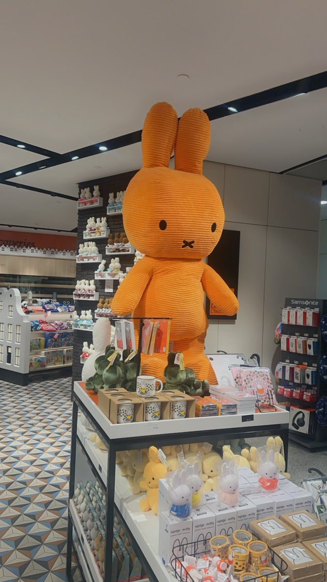 Hitting off the new year from Amsterdam 
#HappyNewYear2024 
#Netherlands